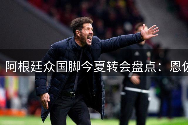 阿根廷众国脚今夏转会盘点：恩佐1.45亿问鼎标王，梅西空缺引热议